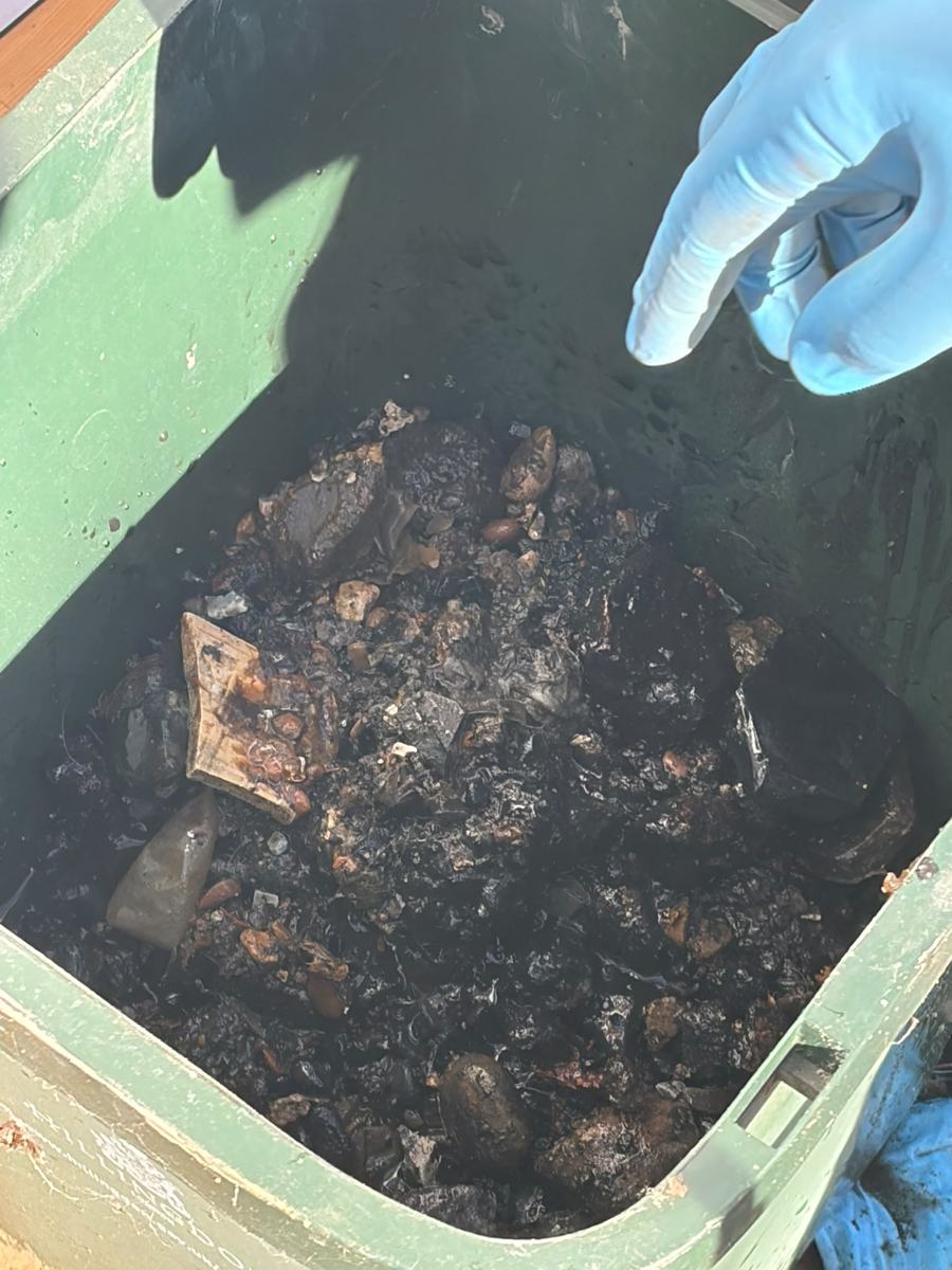 Hardened fat and debris removed from a drain