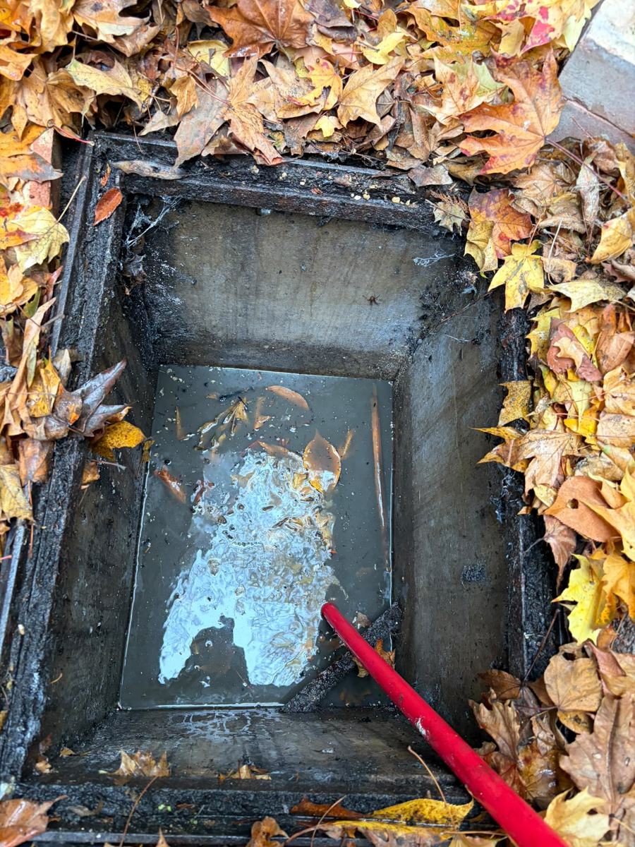 Drain and gully clogged with autumn leaves