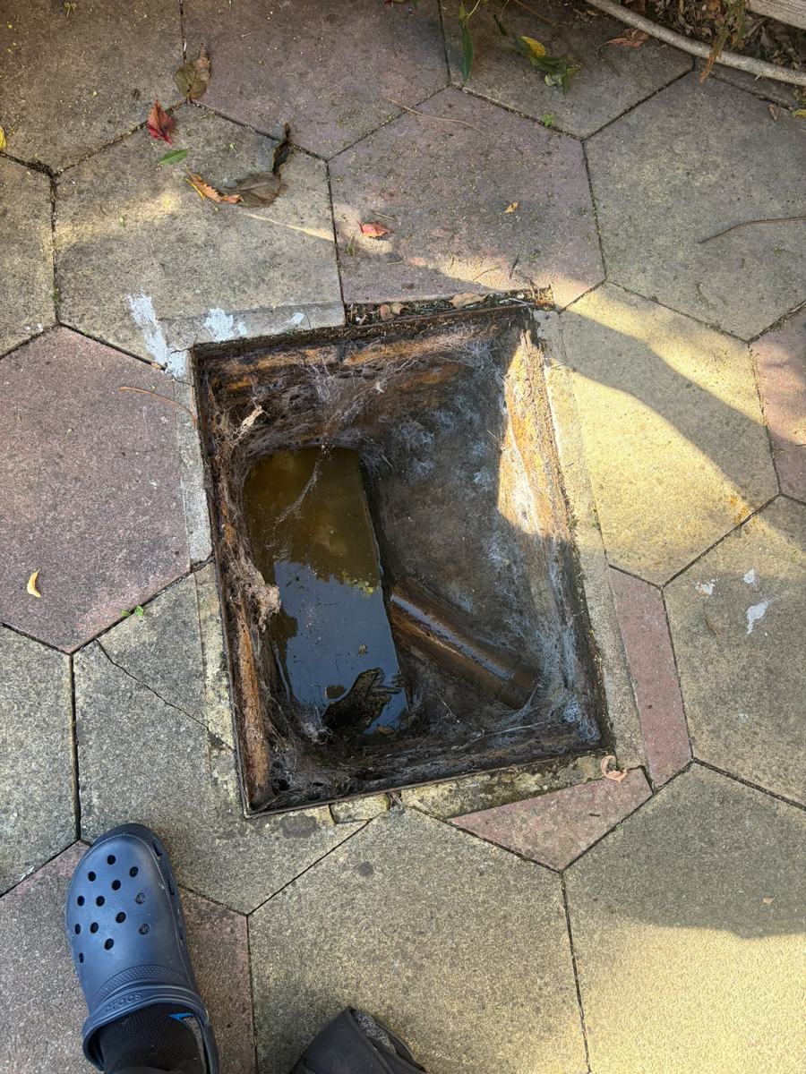 Open inspection chamber in paved yard filled with dirty water